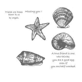 Sea Shells 7 EZ Mounted Rubber Stamps