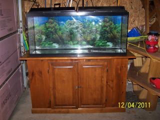 55 gallon fish tank with oak stand & 3) 15 gallon tanks