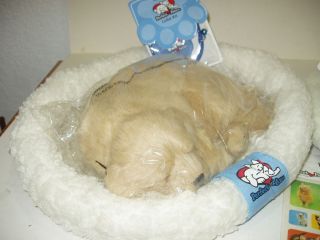Perfect Petzzz Dogs Golden Retriever w Bed Blue Collar NIP