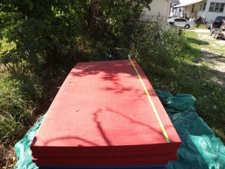 Used professional wrestling ,play mat, thick foam play mats.