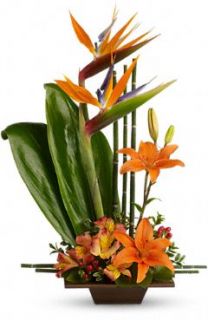 Telefloras Exotic Grace T77 1A Fresh Flower Delivery