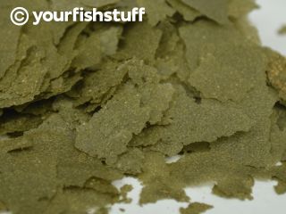 Bulk Your Fish Super Spirulina Flakes Fish Food 5lbs