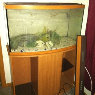46 Gallon Bow Front Fish Aquarium with Stand
