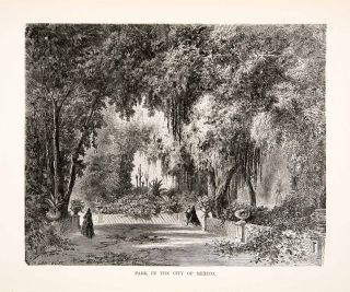 1881 Wood Engraving Mexico City Park Garden Spanish Moss Botanical