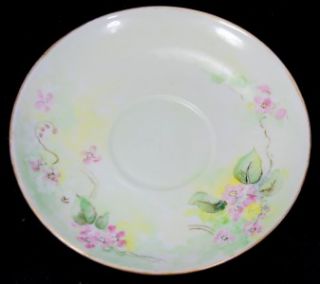 MZ Austria HP Floral Pink Flower Cup Saucer Porcelain