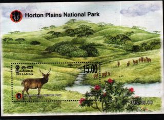  Plains National Park Garden Sri Lanka Souvenir Sheet Stamp