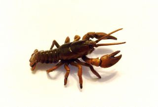  Toys Aquarium Japanese Freshwater Crayfish Lobster Figure RARE
