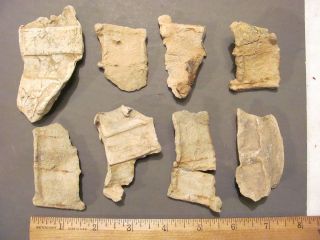 CIVIL WAR ARTILLERY SHELL LEAD SABOT FRAGMENTS LEAD PIECES ONLY 8