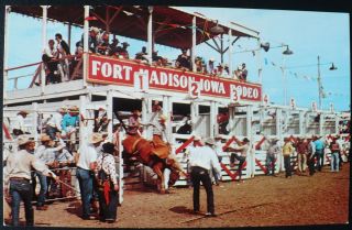 1960 Bull Riding World Championship Rodeo Fort Madison Iowa