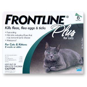  Frontline Plus for Cats 6 Pack
