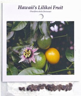 hawaiian lilikoi fruit seeds passiflora edulis flavicarpa