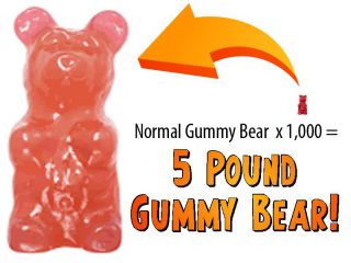 New Worlds Largest Giant Gummy Bear Fruity Bubble Gum 5 Pound Pink