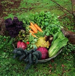 Gardening Vegetables Organic CD Horticulture 30 Books Doomsday