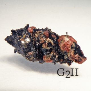 42.92 cts, Garnet Crystals in a Mica Matrix from North Carolina