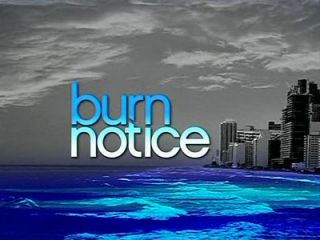 Burn Notice 2nd Second TV Season 2 New DVD 3 Discs 024543589334