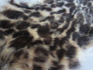  Print Fur Collar Pieces Pelt Geoffroy Cat Taxidermy Crafts Spot