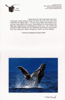 Tom Soucek Alaska Photo Greeting Card Breaching Humpback Whale