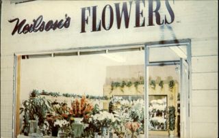Glen Cove Li NY Neilsons Flower Inc Storefront Postcard