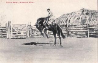 Ranch Sport Scene Glendive Montana Postcard