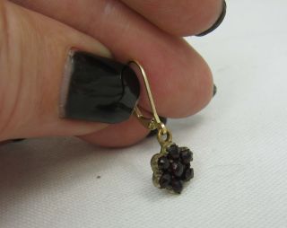 Victorian Bohemian Garnet daisy cluster drop earrings 9ct gold French