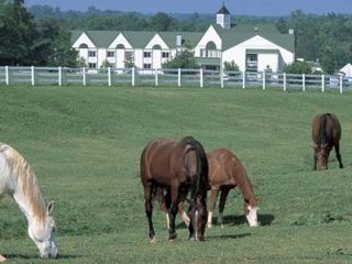 Gordonsville VA Williamsburg 3 BR Cabin sleeps 8 12 20 12 27 Christmas