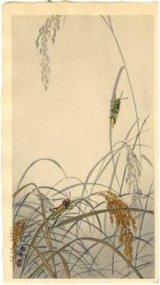 Koson Japanese Woodblock Print Grasshoppers RARE