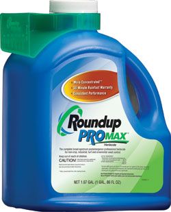 Roundup Promax Glyphosate 1 67 Gallon Jug Weed and Grass Killer 1 67