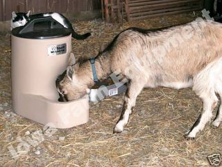 Miraco Heated Waterer Livestock Goats Sheep Pigs Pets