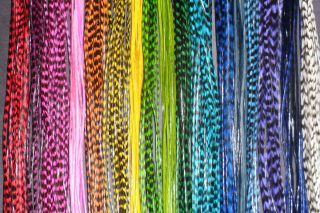  Grizzly Feather Extension Kit U Choose Colors Beads Divne Feathers