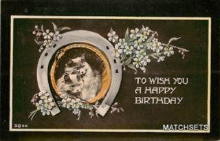 Happy Birthday Greetings Horseshoe Cute Cats Postcard