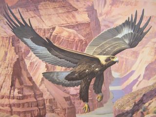 Arthur Singer Golden Eagle Grand Canyon Ed Print