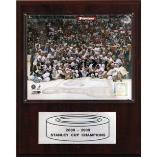 Collectibles NHL Penguins 2008 09 Stanley Cup Celebration