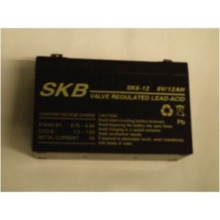 Big Toys Toys Toys Battery 6v 12A Replacement Part   TT 600049