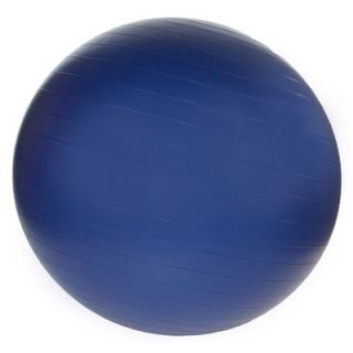 Fit 34 Professional Exercise Ball   20 3301