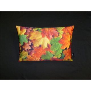 lava Autumn Pillow   012193747129