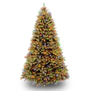 Christmas Trees with Height 6 6.5 feet