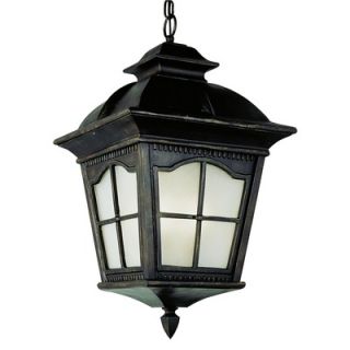 TransGlobe Lighting One Light Outdoor Hanging Lantern in Black   PL