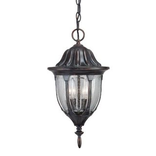 Savoy House Tudor Outdoor Hanging Lantern in Bark and Gold   5 1502