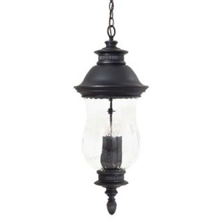 Great Outdoors by Minka Newport Outdoor Chain Hanging Lantern in