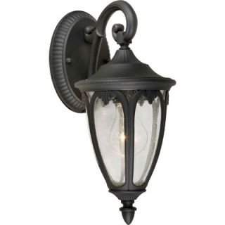 Forte Lighting One Light Outdoor Lantern with Clear Seeded Glass