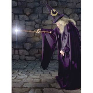 Ultimate The Wizard Wall Mural