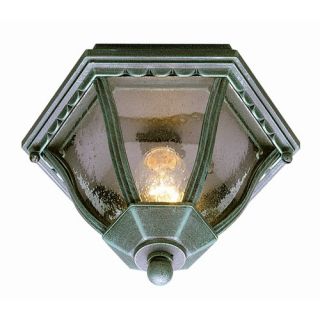 Exterior Lighting With Water Glass or Hammered Glass