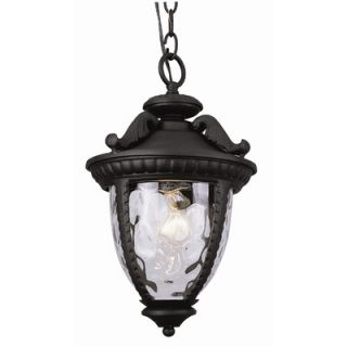 TransGlobe Lighting Exterior Hanging Lantern with Clear Water Glass