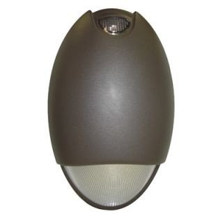 Royal Pacific Outdoor Emergency Light with Sensor