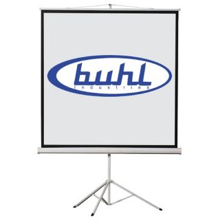 60 x 60 Projector Screen   11 Format