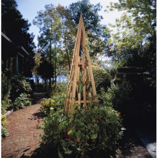Rustic Cedar Obelisk