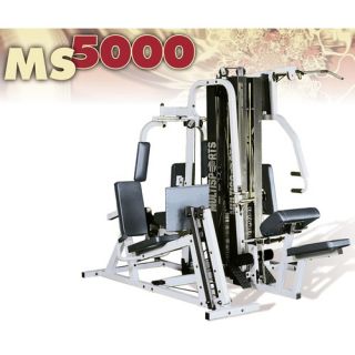 Multisports Optional Vertical Knee Raise Station Gym