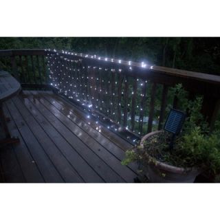 Mr. Light 200 LED Solar Net Lights with Green Wire in Bright White