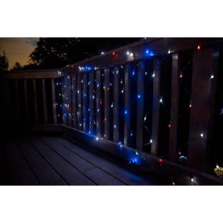 Mr. Light 200 LED Solar Net Lights with Green Wire