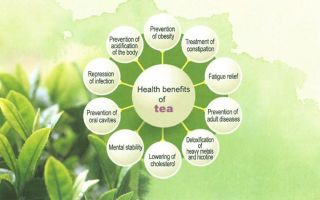 100 Genuine Organic Green Tea Powder Matcha 200g Gained Certificates